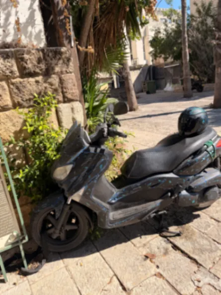 Xmax 250